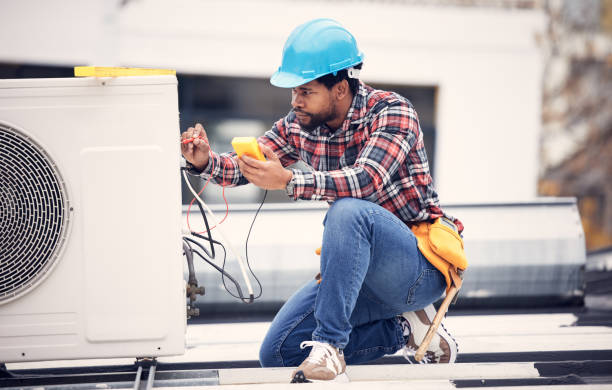 Best Licensed Electrician  in Wanamingo, MN