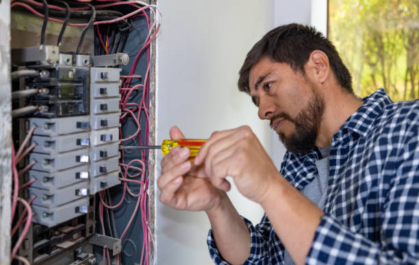 Best Home Electrical Repair  in Wanamingo, MN